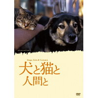 犬と猫と人間と/ＤＶＤ/KKJS-96